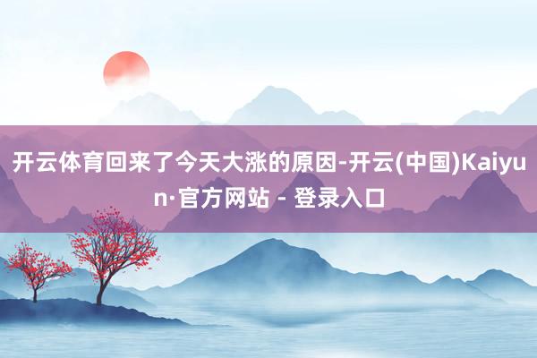 开云体育回来了今天大涨的原因-开云(中国)Kaiyun·官方网站 - 登录入口