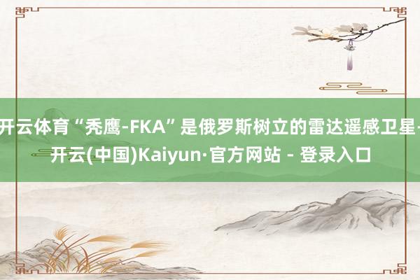 开云体育“秃鹰-FKA”是俄罗斯树立的雷达遥感卫星-开云(中国)Kaiyun·官方网站 - 登录入口