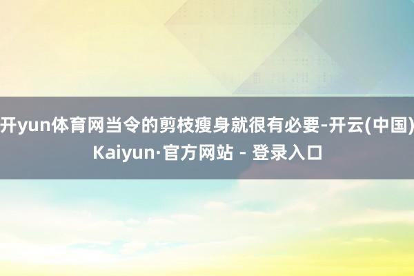 开yun体育网当令的剪枝瘦身就很有必要-开云(中国)Kaiyun·官方网站 - 登录入口