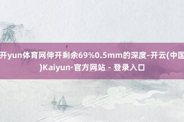 开yun体育网伸开剩余69%0.5mm的深度-开云(中国)Kaiyun·官方网站 - 登录入口