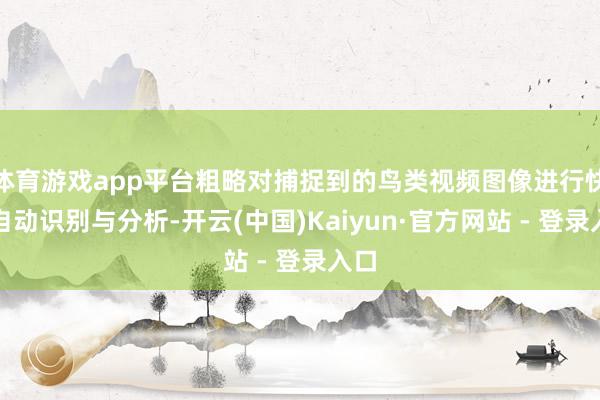 体育游戏app平台粗略对捕捉到的鸟类视频图像进行快速自动识别与分析-开云(中国)Kaiyun·官方网站 - 登录入口