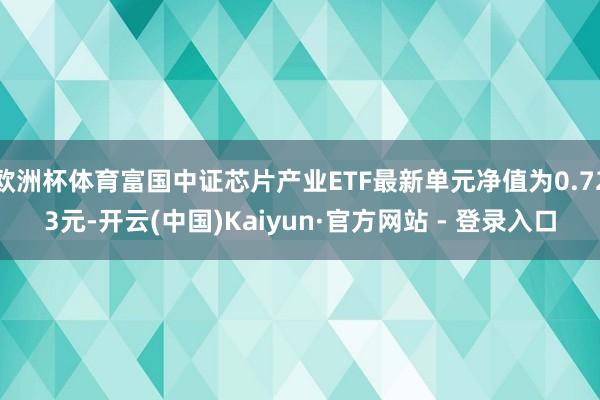 欧洲杯体育富国中证芯片产业ETF最新单元净值为0.723元-开云(中国)Kaiyun·官方网站 - 登录入口