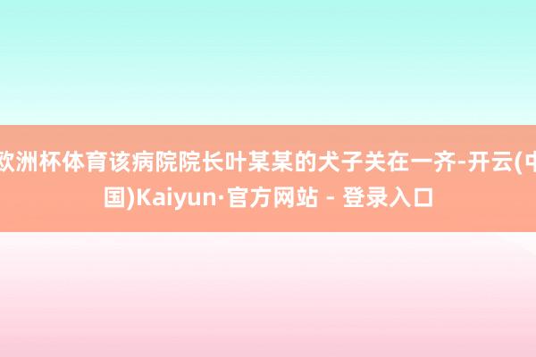 欧洲杯体育该病院院长叶某某的犬子关在一齐-开云(中国)Kaiyun·官方网站 - 登录入口