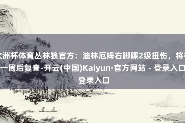 欧洲杯体育丛林狼官方：迪林厄姆右脚踝2级扭伤，将在一周后复查-开云(中国)Kaiyun·官方网站 - 登录入口