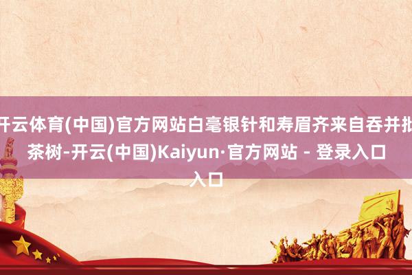 开云体育(中国)官方网站白毫银针和寿眉齐来自吞并批茶树-开云(中国)Kaiyun·官方网站 - 登录入口