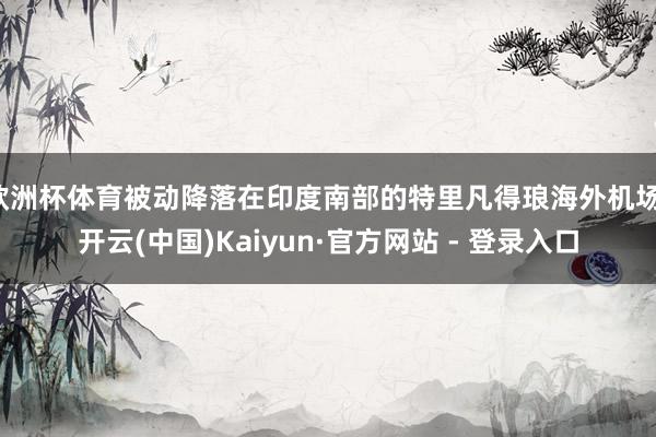 欧洲杯体育被动降落在印度南部的特里凡得琅海外机场-开云(中国)Kaiyun·官方网站 - 登录入口