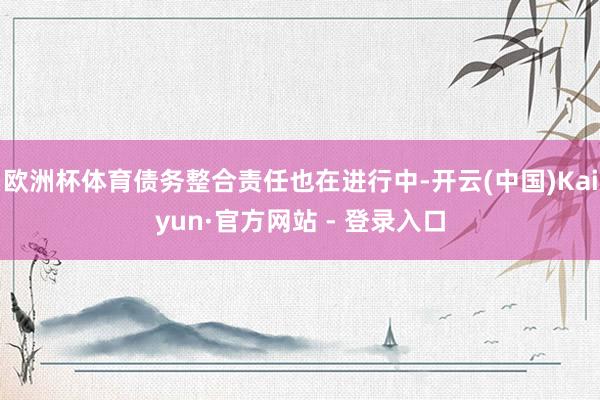 欧洲杯体育债务整合责任也在进行中-开云(中国)Kaiyun·官方网站 - 登录入口