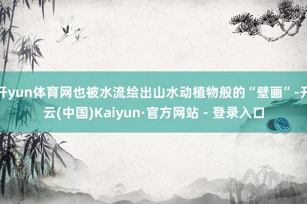 开yun体育网也被水流绘出山水动植物般的“壁画”-开云(中国)Kaiyun·官方网站 - 登录入口