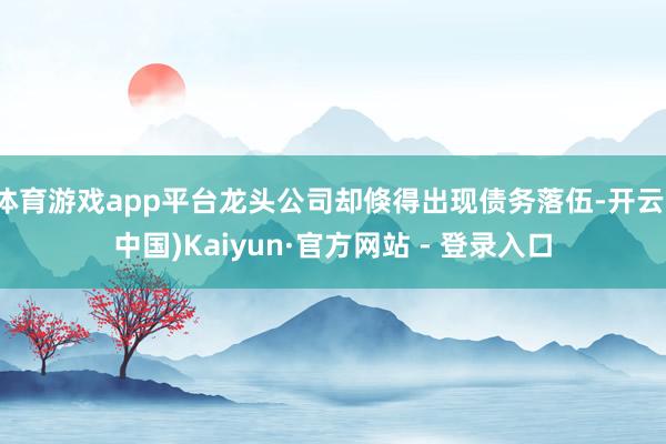 体育游戏app平台龙头公司却倏得出现债务落伍-开云(中国)Kaiyun·官方网站 - 登录入口