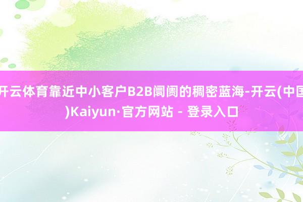 开云体育靠近中小客户B2B阛阓的稠密蓝海-开云(中国)Kaiyun·官方网站 - 登录入口
