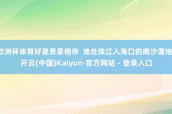 欧洲杯体育好意思景相伴  地处珠江入海口的南沙湿地-开云(中国)Kaiyun·官方网站 - 登录入口