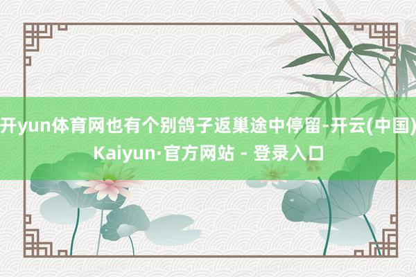 开yun体育网也有个别鸽子返巢途中停留-开云(中国)Kaiyun·官方网站 - 登录入口